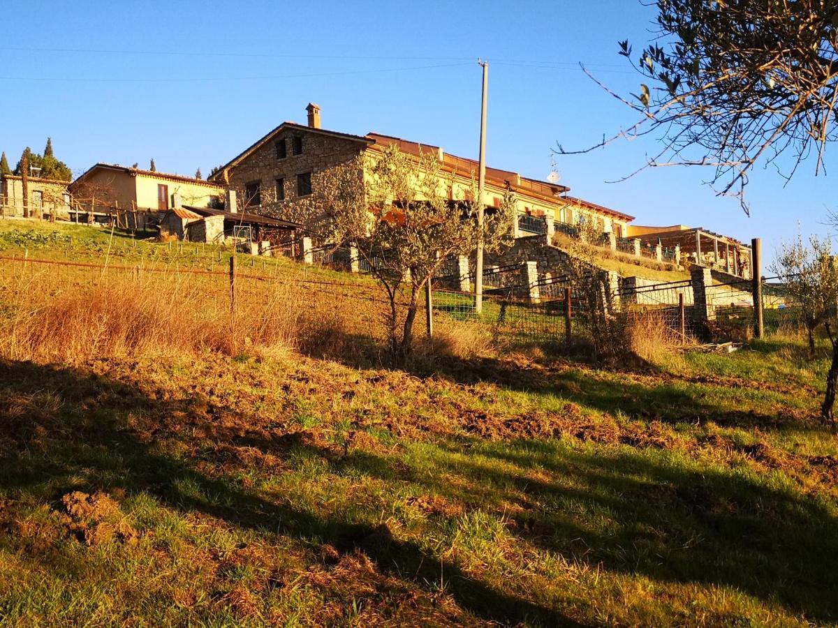 Agriturismo Olimpo Villa Santa Maria  Exterior photo