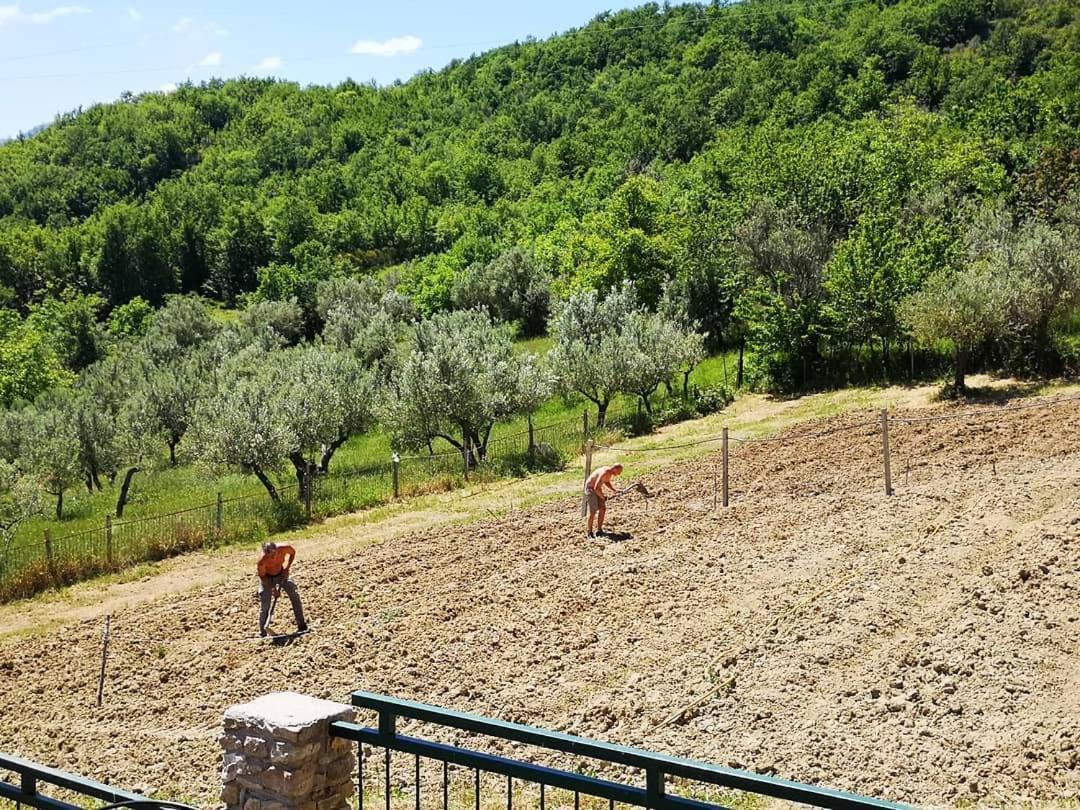 Agriturismo Olimpo Villa Santa Maria  Exterior photo