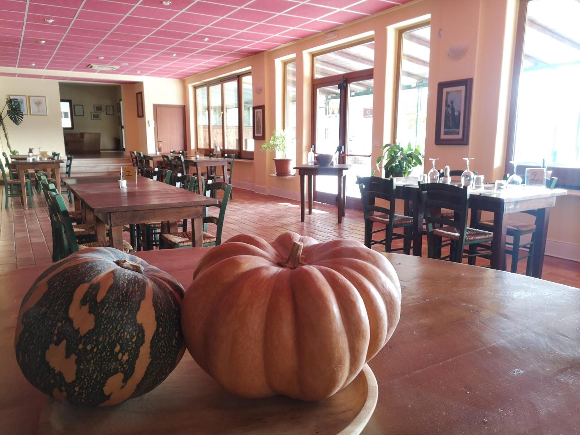 Agriturismo Olimpo Villa Santa Maria  Exterior photo