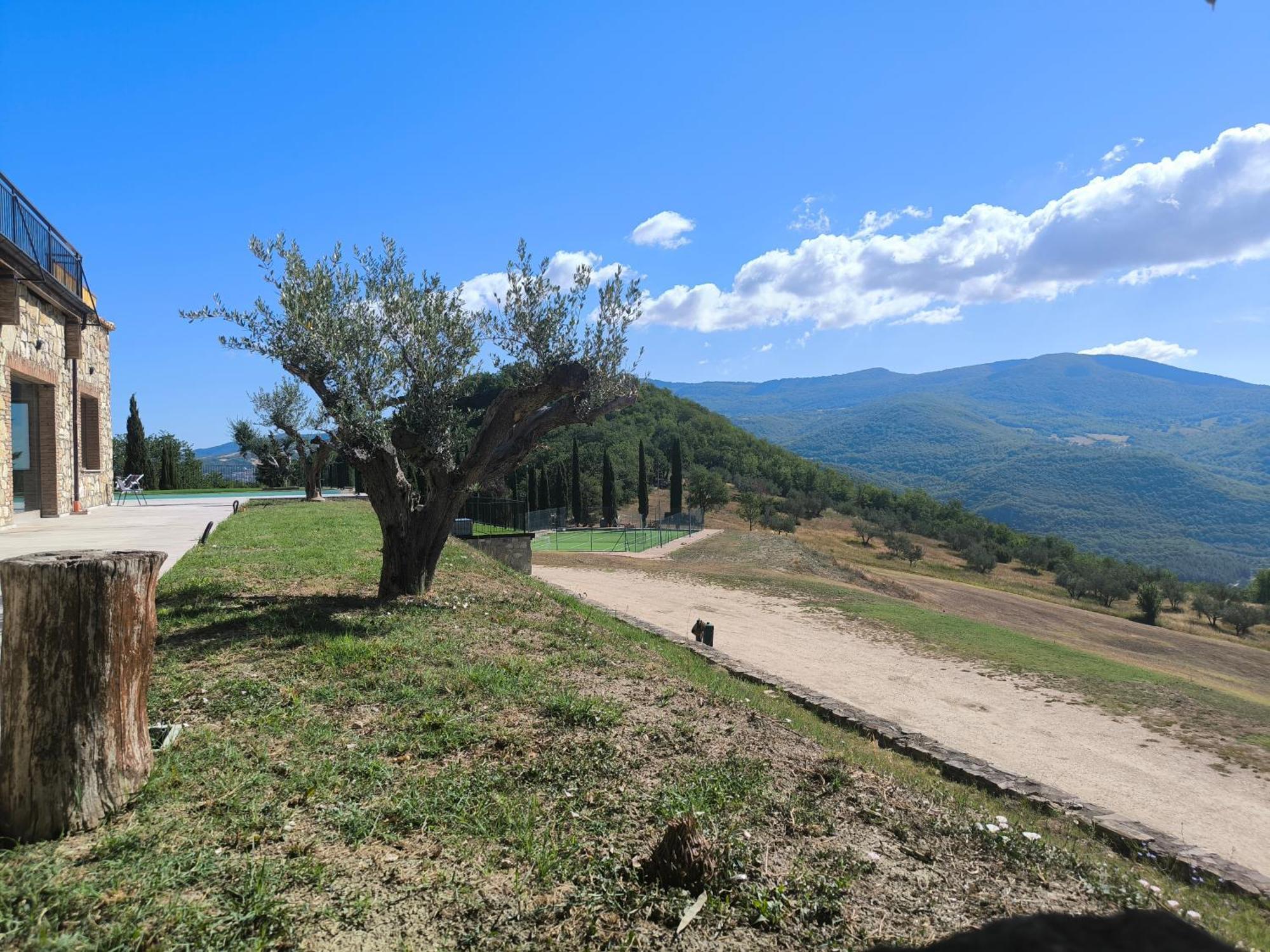 Agriturismo Olimpo Villa Santa Maria  Exterior photo